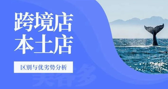 美客多电商平台入驻，美客多本土店和跨境店的区别