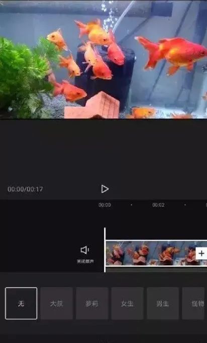 视频号怎么制作视频，新手怎么学剪辑视频