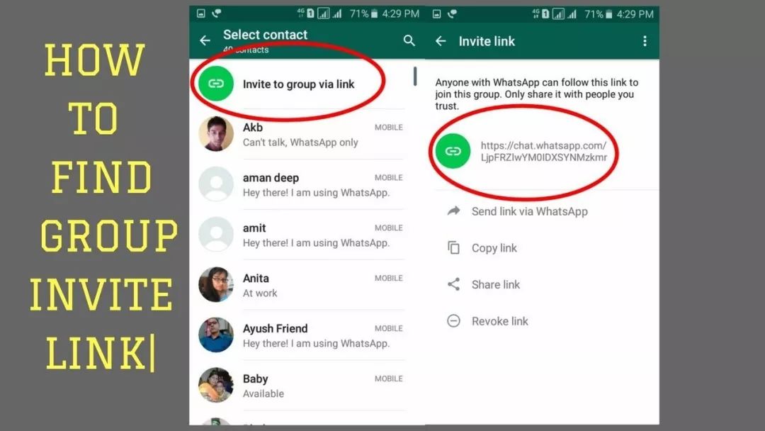 WhatsApp国内使用方法，WhatsApp功能介绍