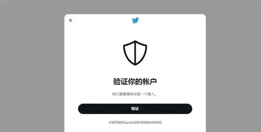 国内怎么上推特Twitter，推特注册使用详细教程