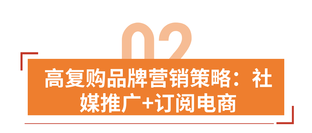 年收千万美元，老外卖中国茶火了，高复购茶叶独立站怎么做？