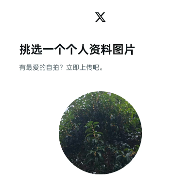 Twitter（X）2024最新注册教程